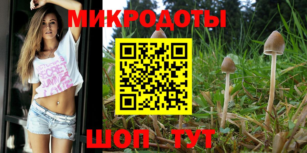 Минусинск  Галлюциногенные грибы мухоморы  Вход с VPN 